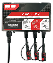 Bs Battery Smart Bank Charger With Reconditioning