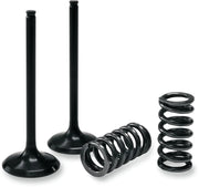Prox Valve And Spring Kit - Steel Intake Valves