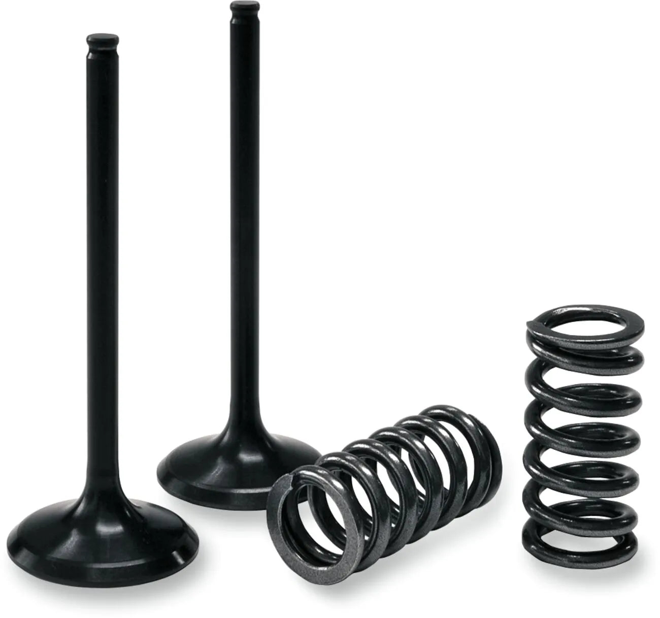 Prox Valve And Spring Kit - Steel, Nitrided Valves