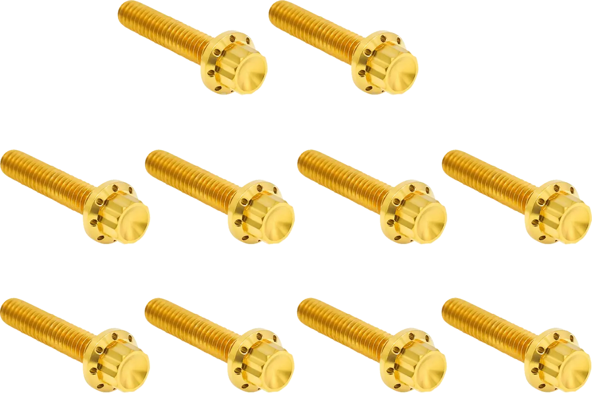 Arlen Ness Titanium 12-Point Cam/Point Cover Bolt Kit Gold