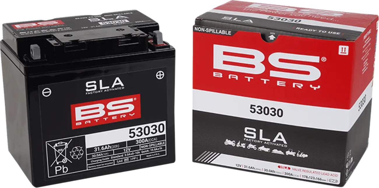 Bs Battery Agm 30ah Factory-activated Battery