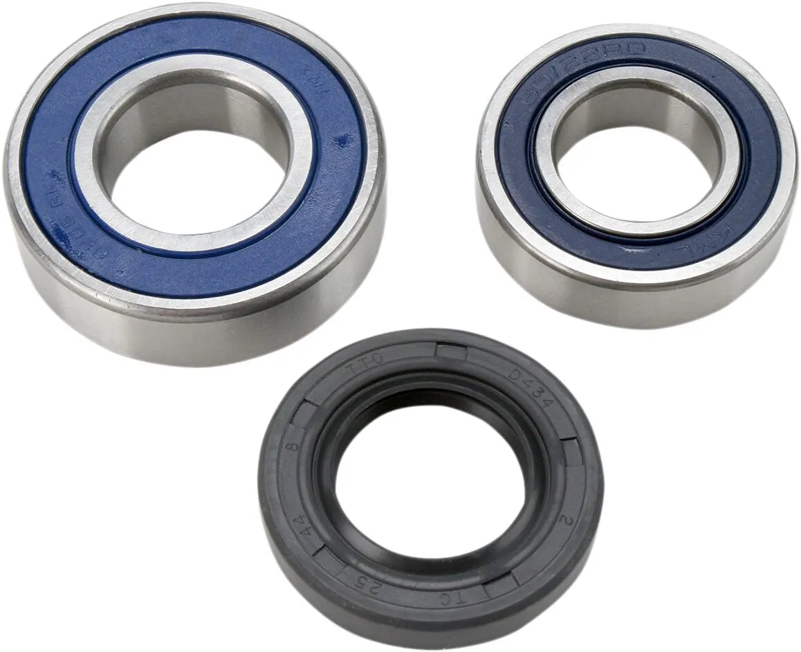 All Balls Chain Case Bearing and Seal Kit