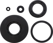 Vertex Engine Oil Seal Kit