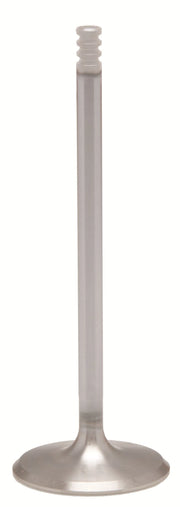 Kibblewhite Valve - Stainless Steel Intake