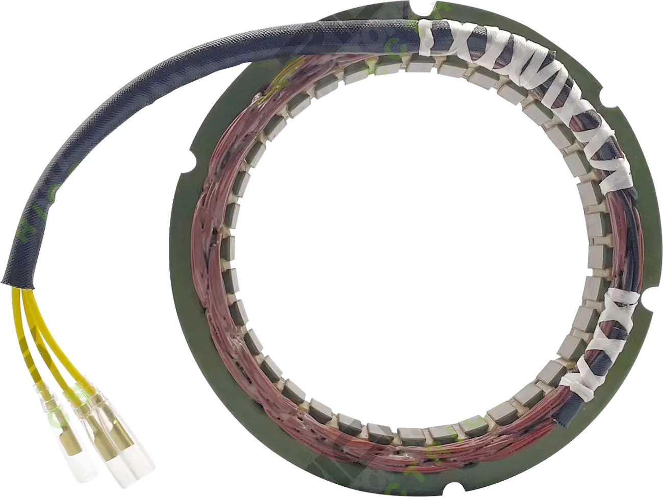 Rick's Motorsport Electric Stator