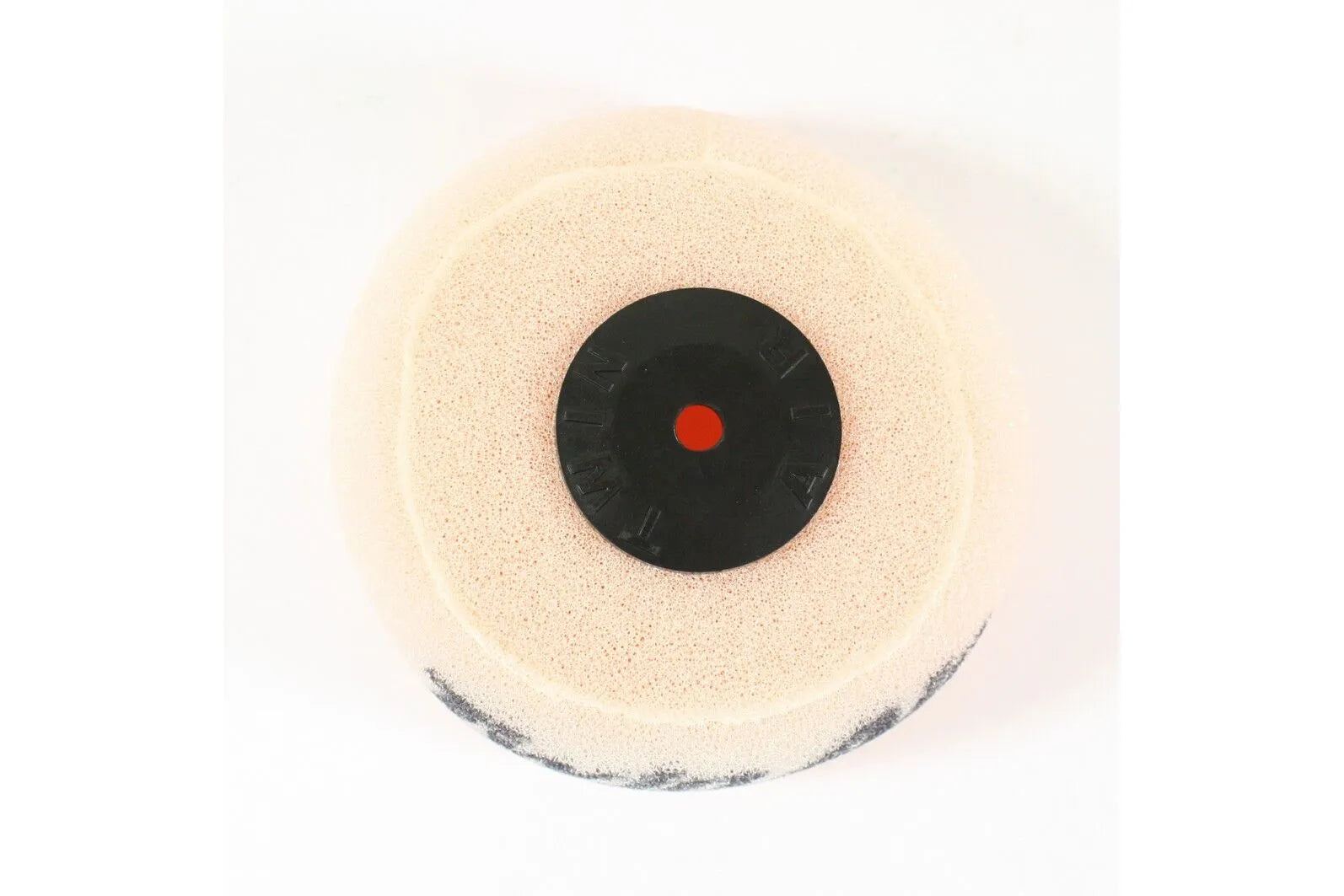 Twin Air Air Filter