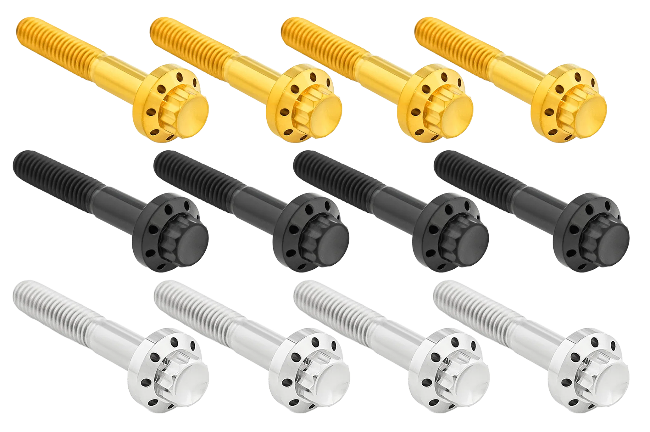 Arlen Ness Titanium 12-POINT Front Fender Bolts – Hardware