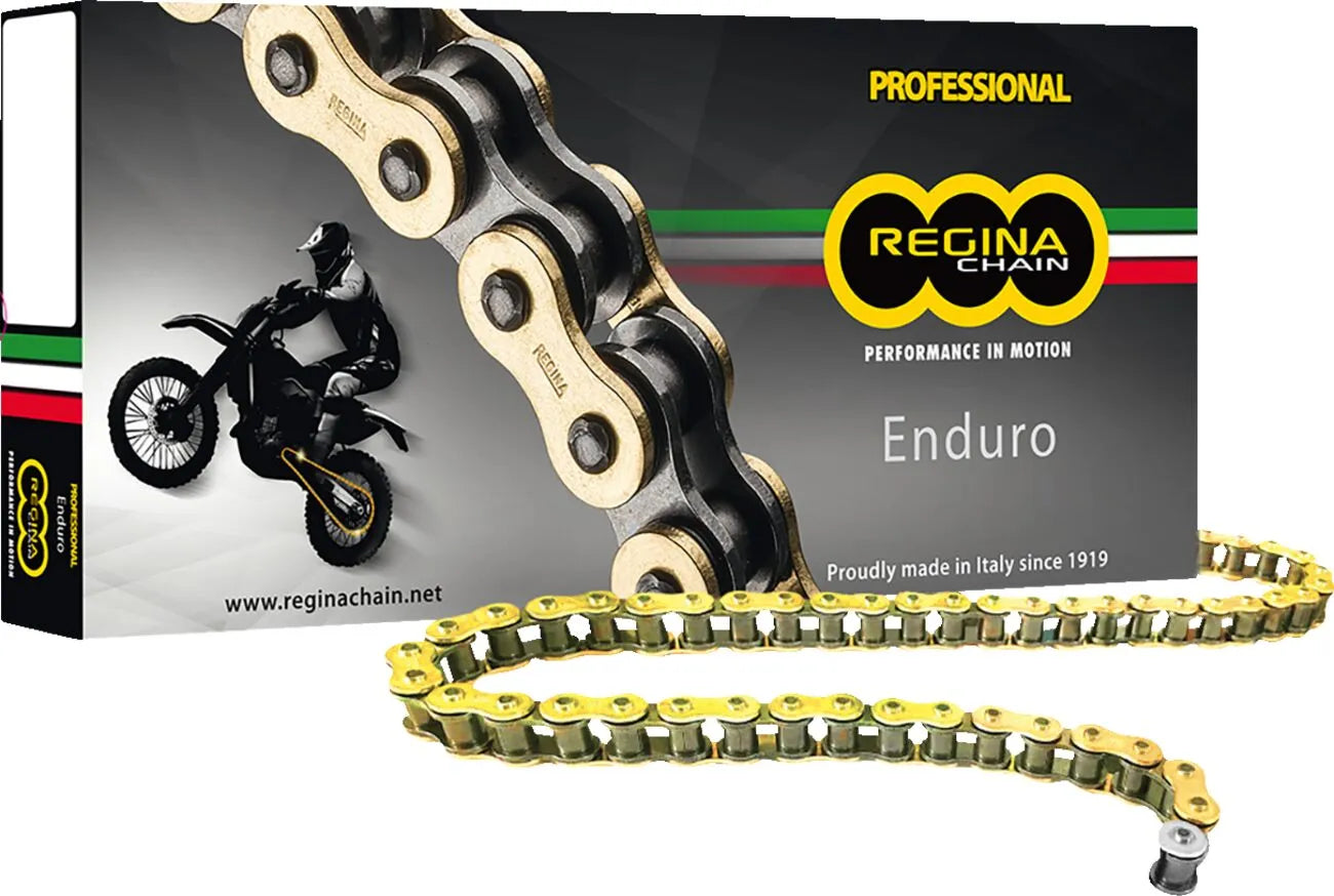 Regina 520 Zse Drive Chain - Gold
