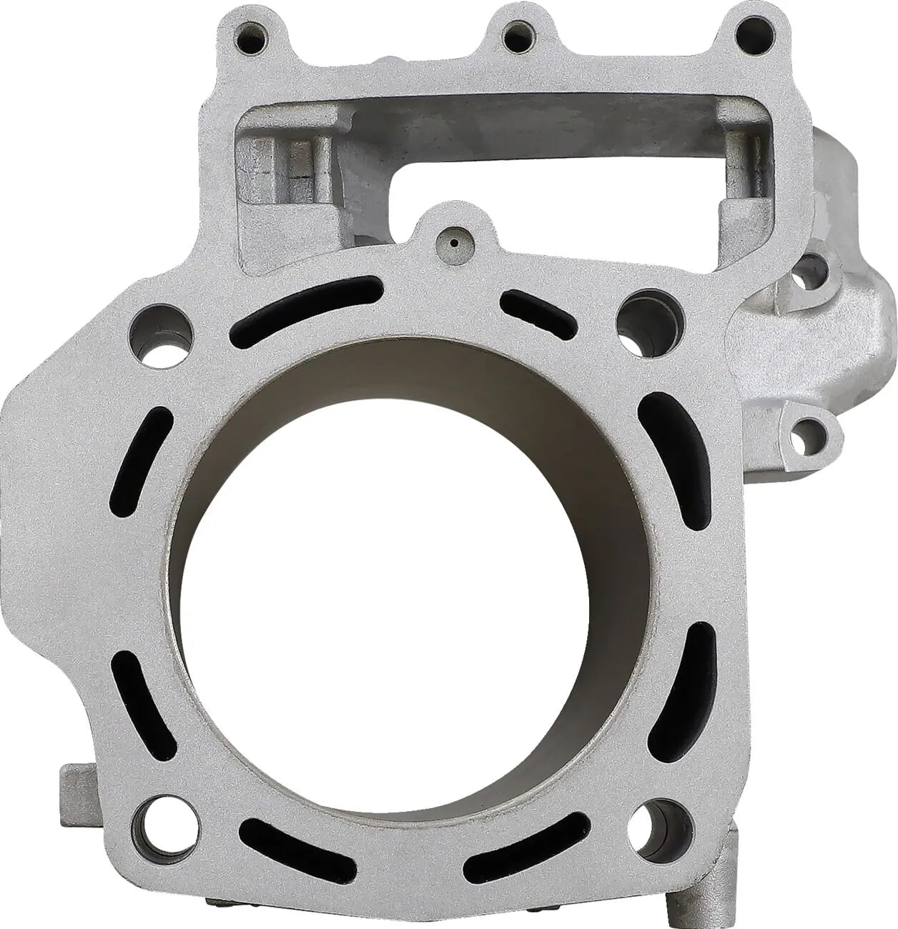 Cylinder Works 800cc Engine Cylinder