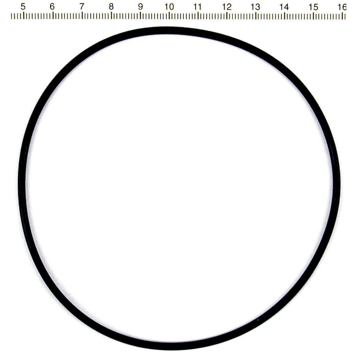 S&S cylinder base o-ring - FR/RR