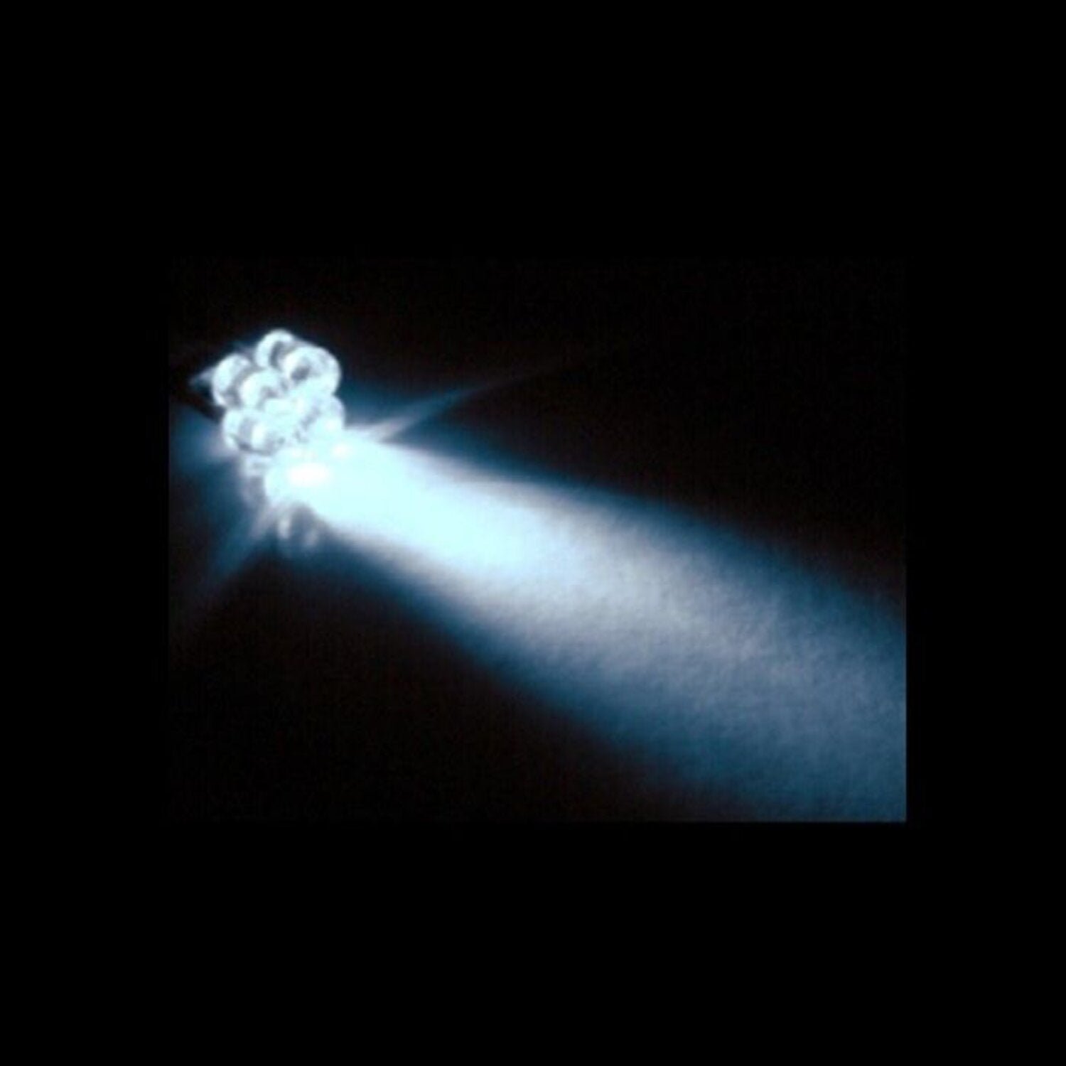 Custom Dynamics 194 LED Bulb - white light