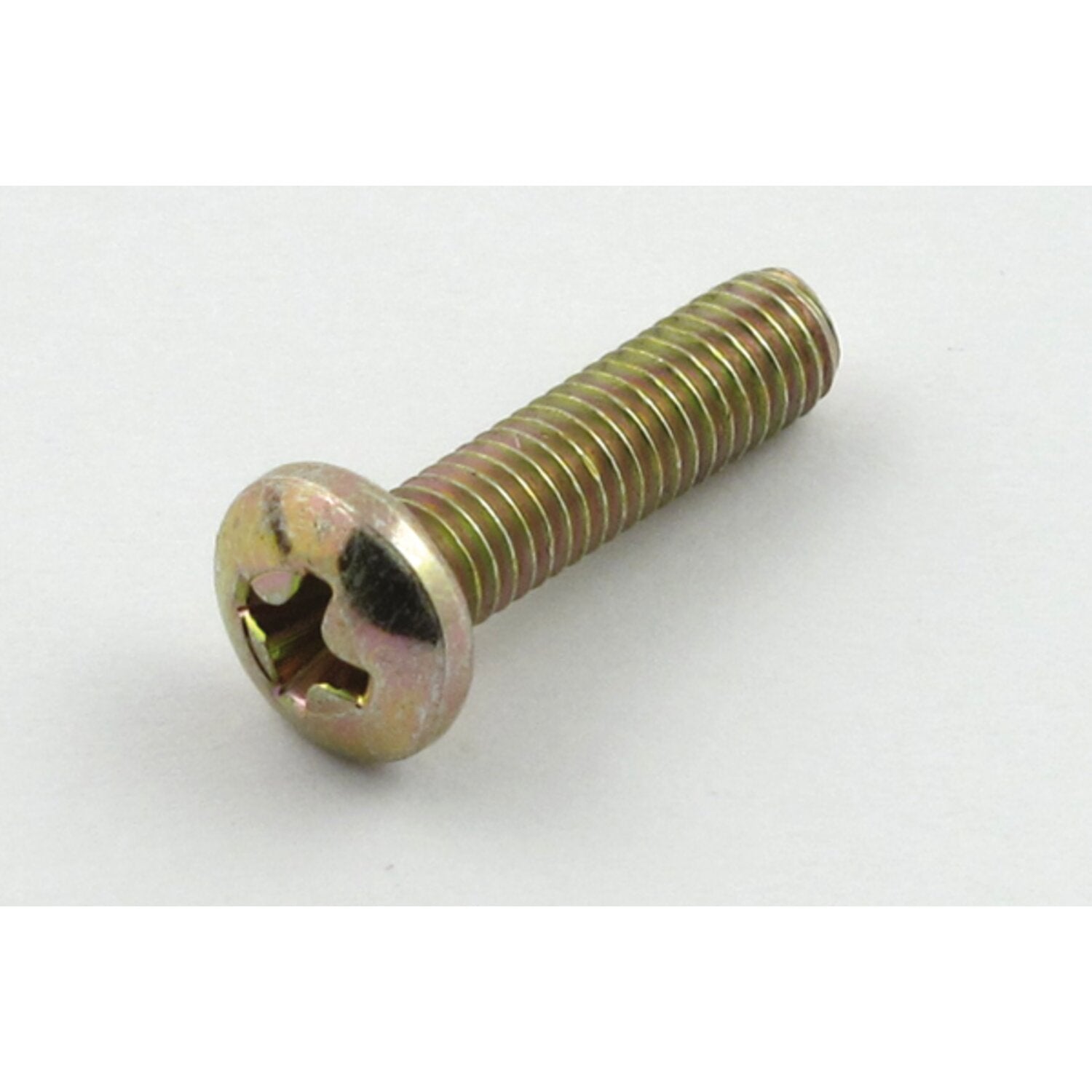 Cycle Electric brush cover screw