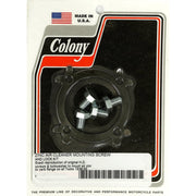 Colony Linkert air cleaner mount screw & lock kit - Zinc