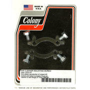 Colony Linkert air cleaner mount screw & lock kit - Zinc