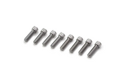 Daytona Screw Set 1/4-24x7/8 8-Piece