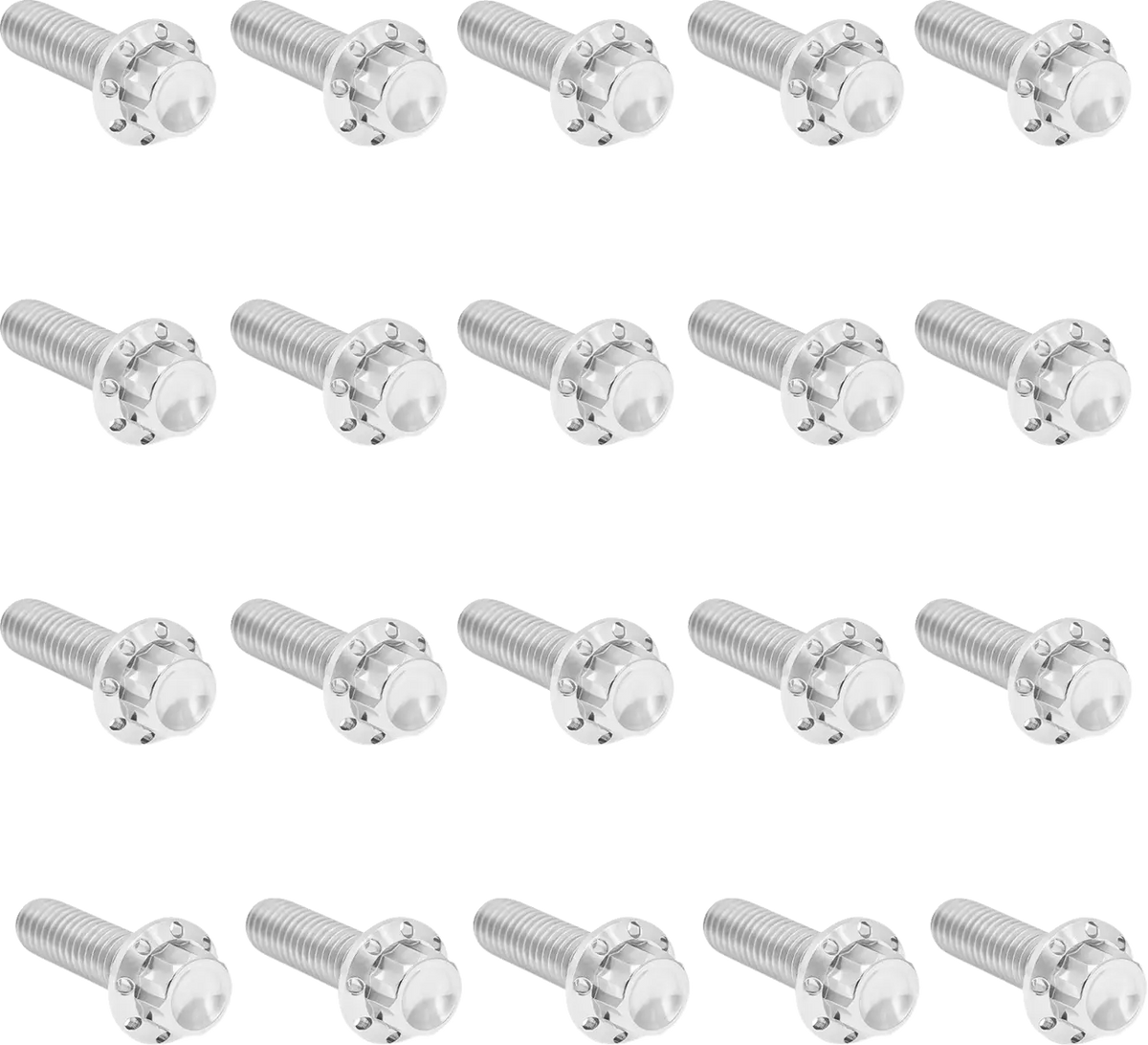 Arlen Ness Rocker Box 12-Point Titanium Bolt Kit M8 Polish