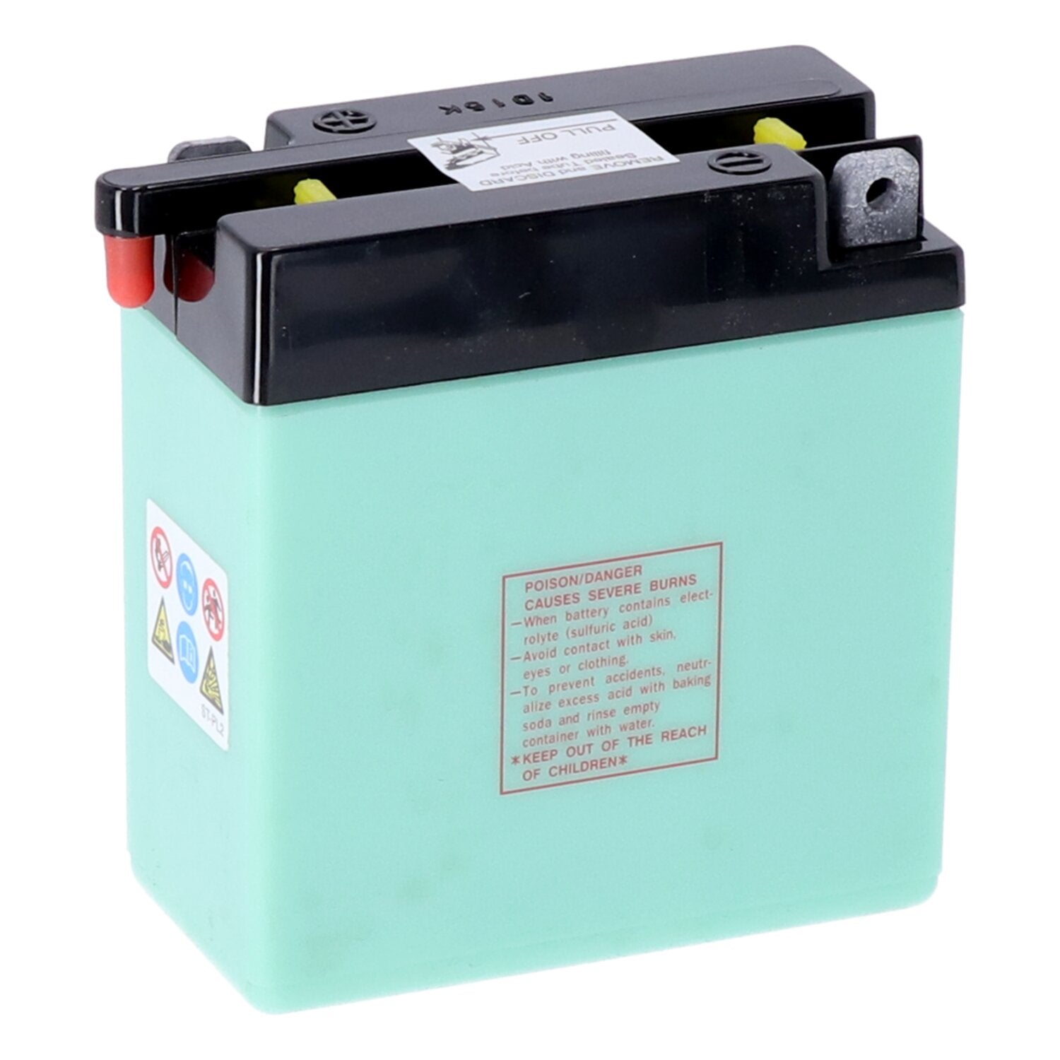 Yuasa Conventional 6V battery