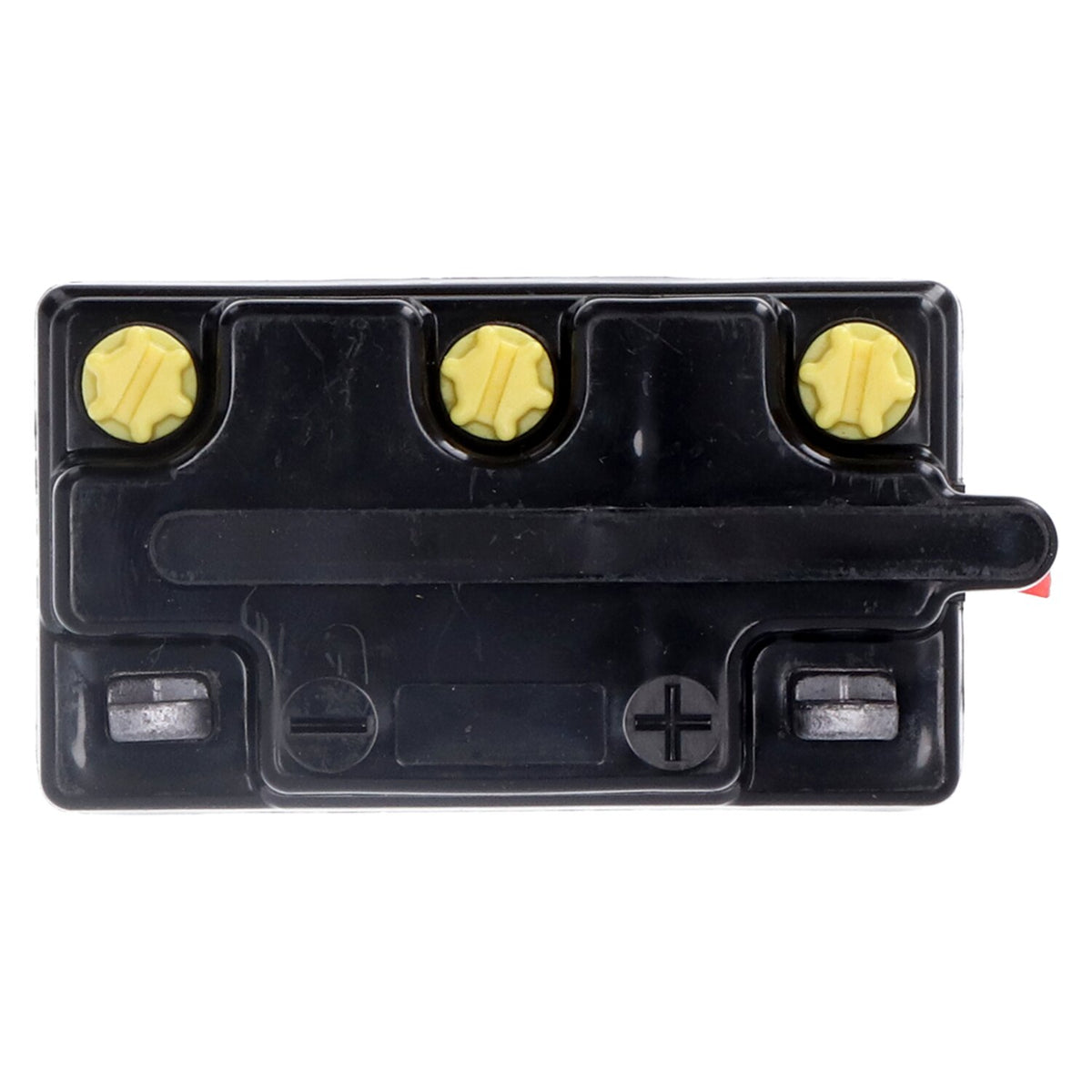 Yuasa Conventional 6V battery