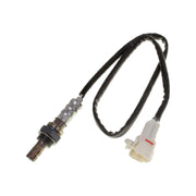 CVP O2 sensor Triumph Daytona Thunderbird