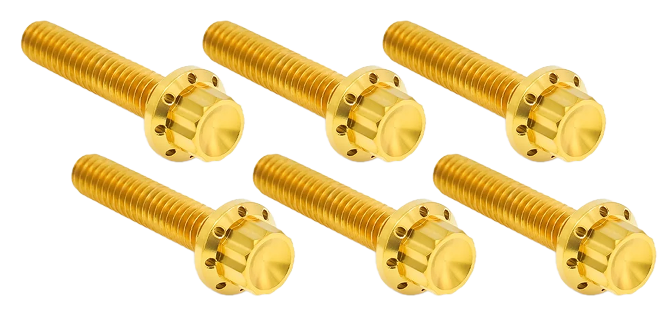 Arlen Ness Transmission Side Cover & Trap Door Titanium 12-POINT Bolt Kits – Hardware