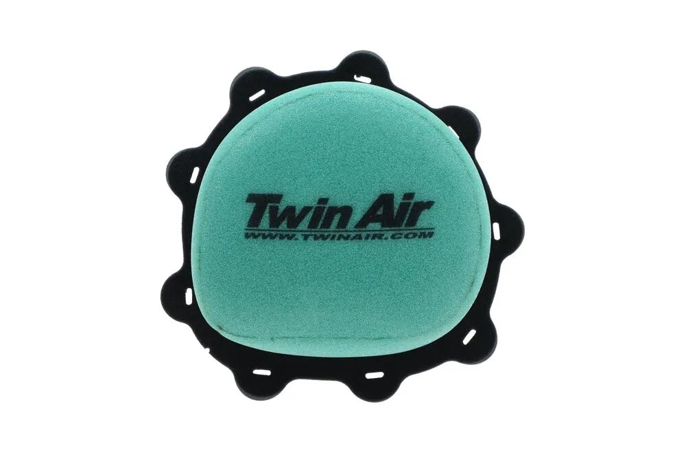 Twin Air Air Filter