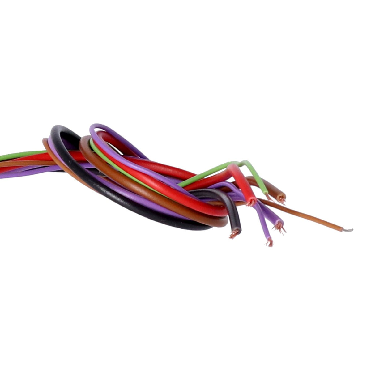 Elektronikbox Axel Joost Elektronik Multi Flash Plus