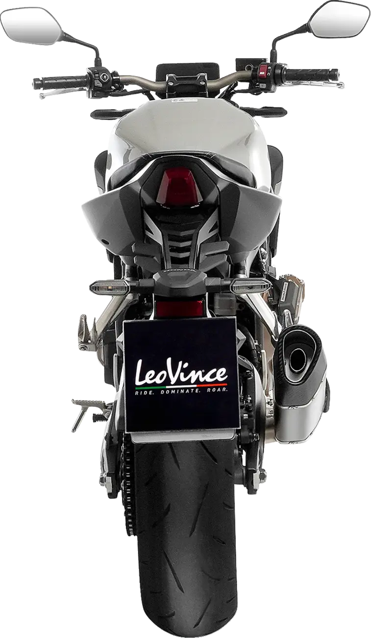 Leovince LV-14 R Exhaust System