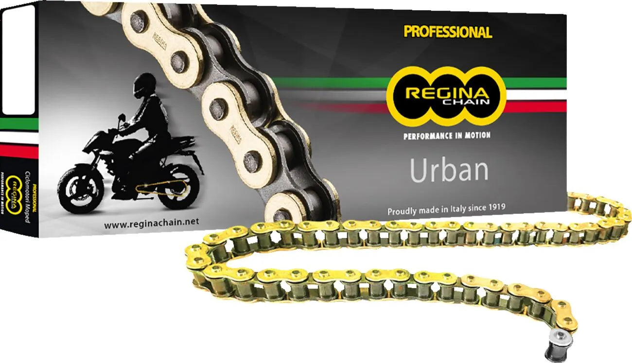 Regina 420 Oroy Gold Drive Chain
