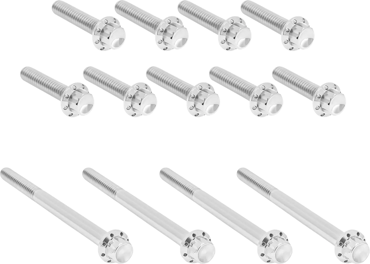 Arlen Ness Titanium 12-Point Primary Cover Bolt Kit Polish TC