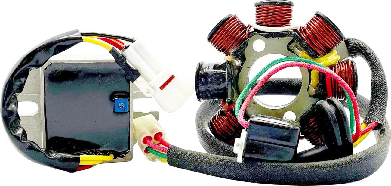 Rick's Motorsport Electric Lithium-ion Charging Kit