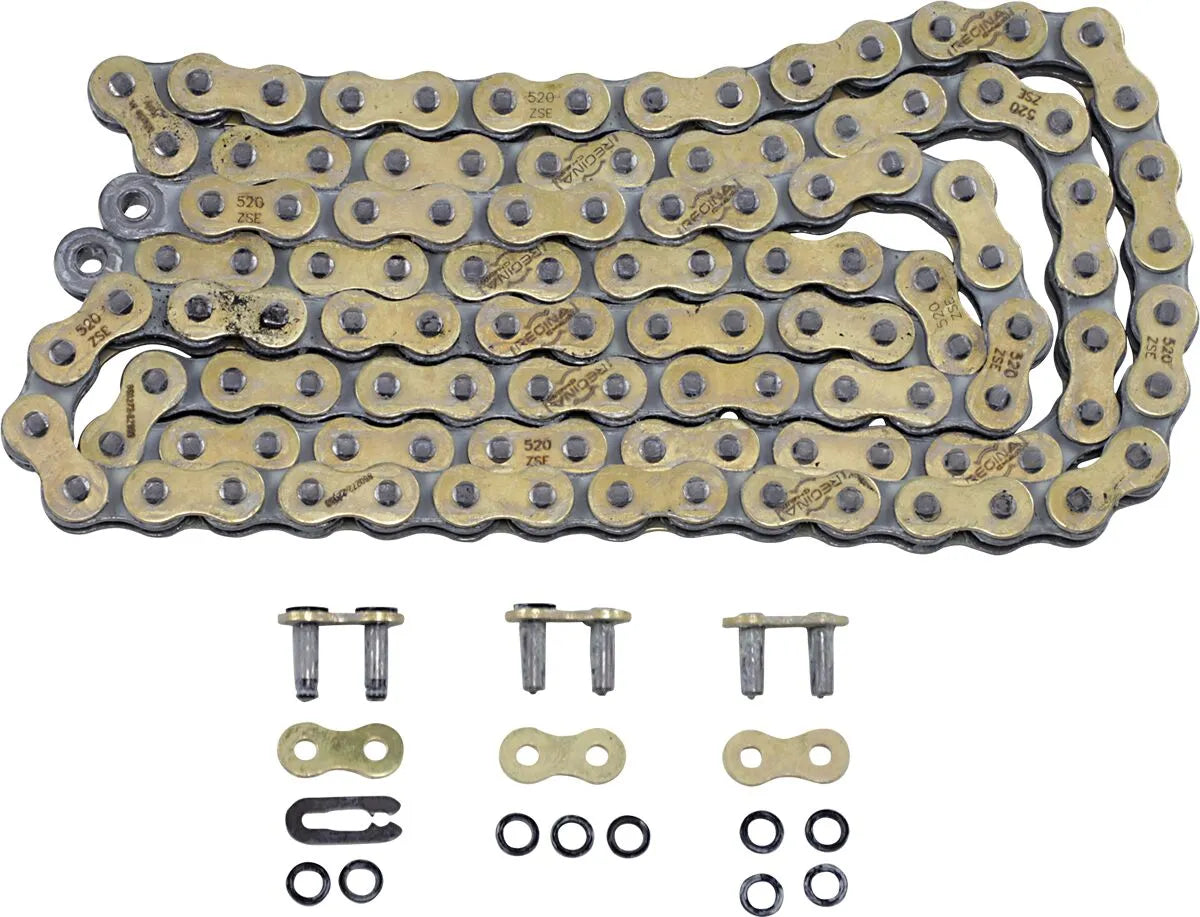 Regina 520 Zse Drive Chain - High Performance
