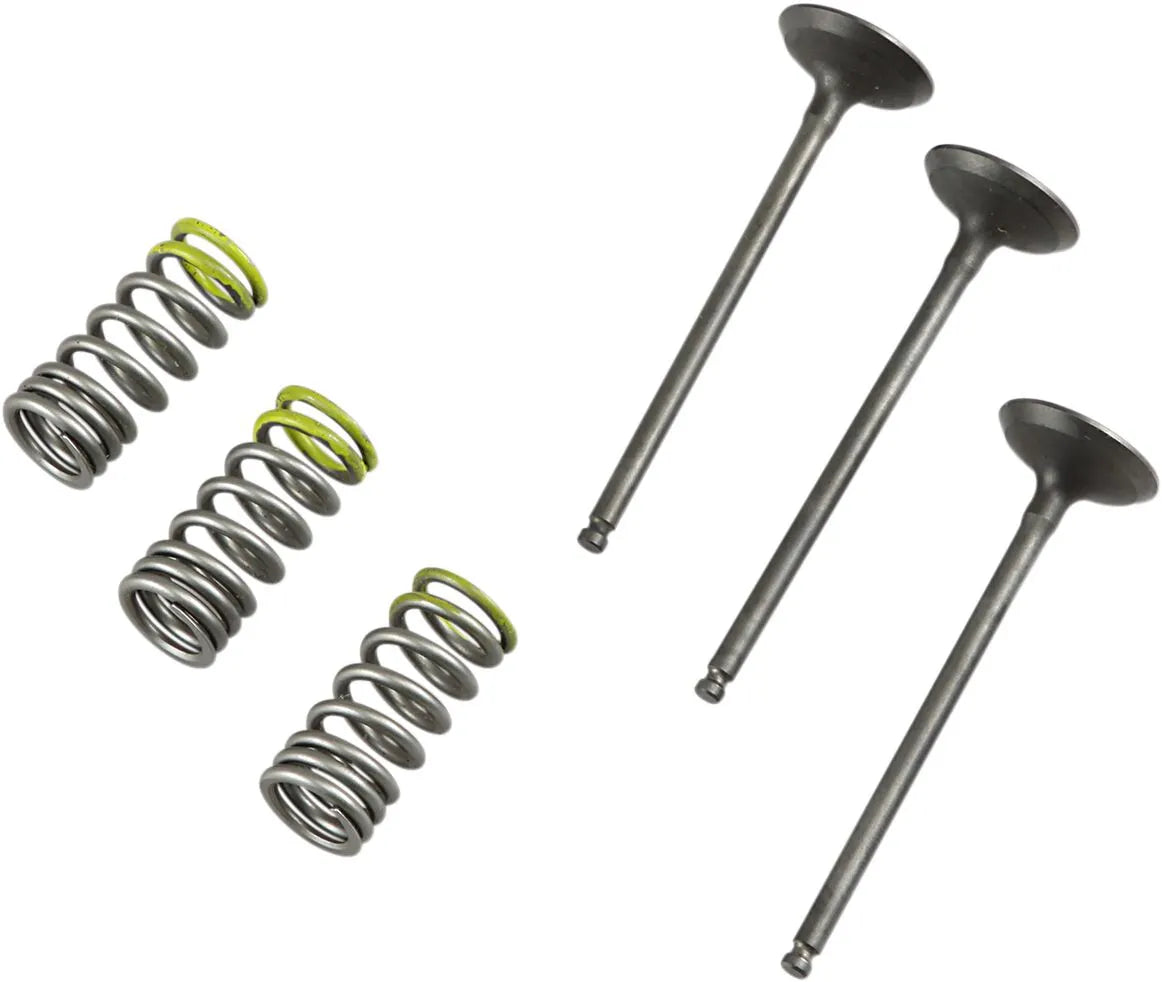 Prox Valve And Spring Kit - Steel Intake Valves