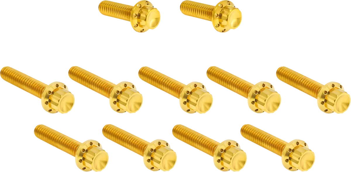 Arlen Ness Titanium M8 12-Point Bolt Kit Gold