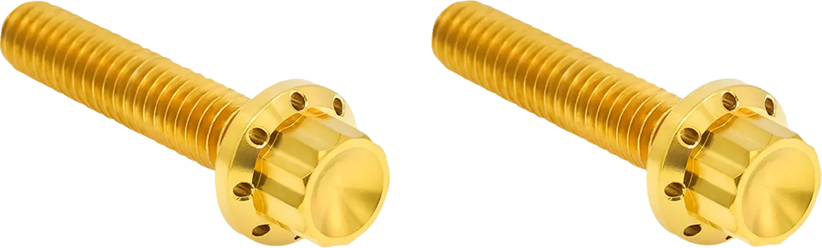 Arlen Ness Transmission Side Cover M8 12-Point Titanium Gold
