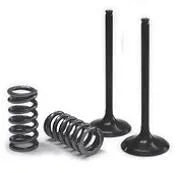 Prox Valve & Spring Kit - Steel Intake Valves