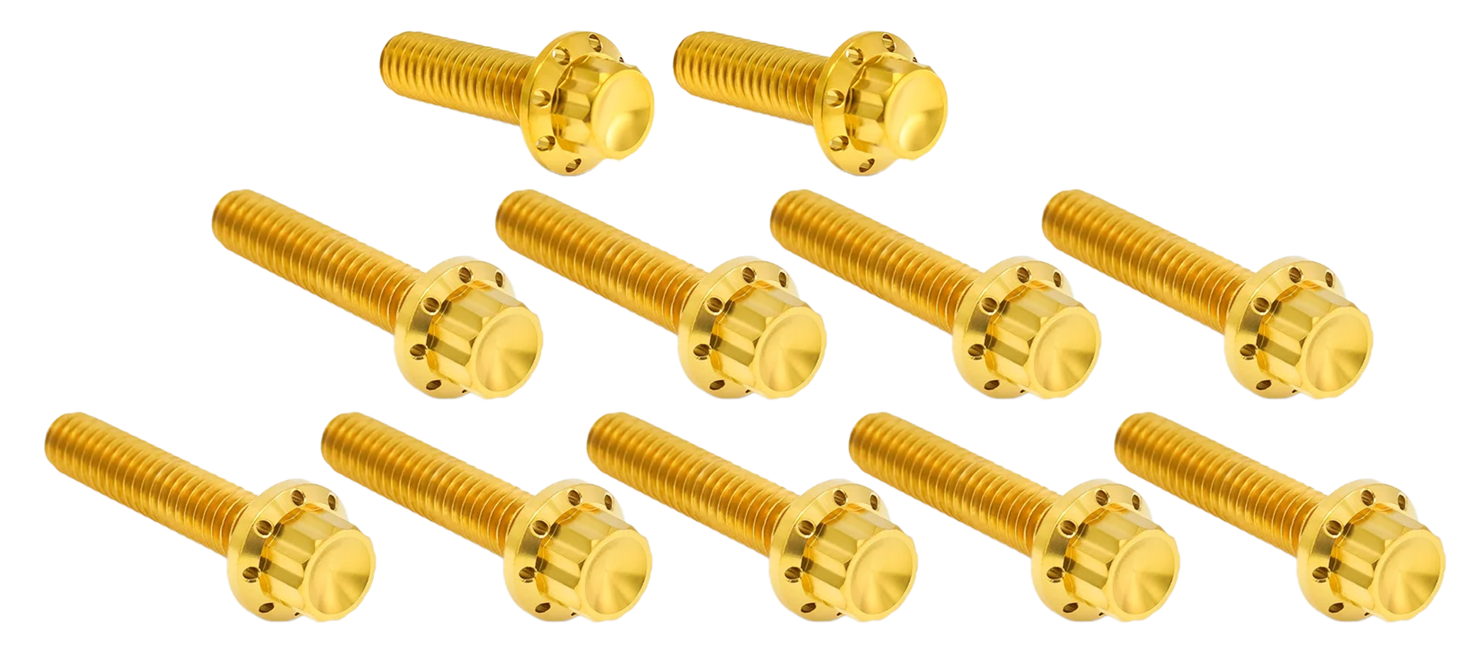 Arlen Ness Cam & Point Cover Titanium 12-POINT Bolt Kits – Hardware