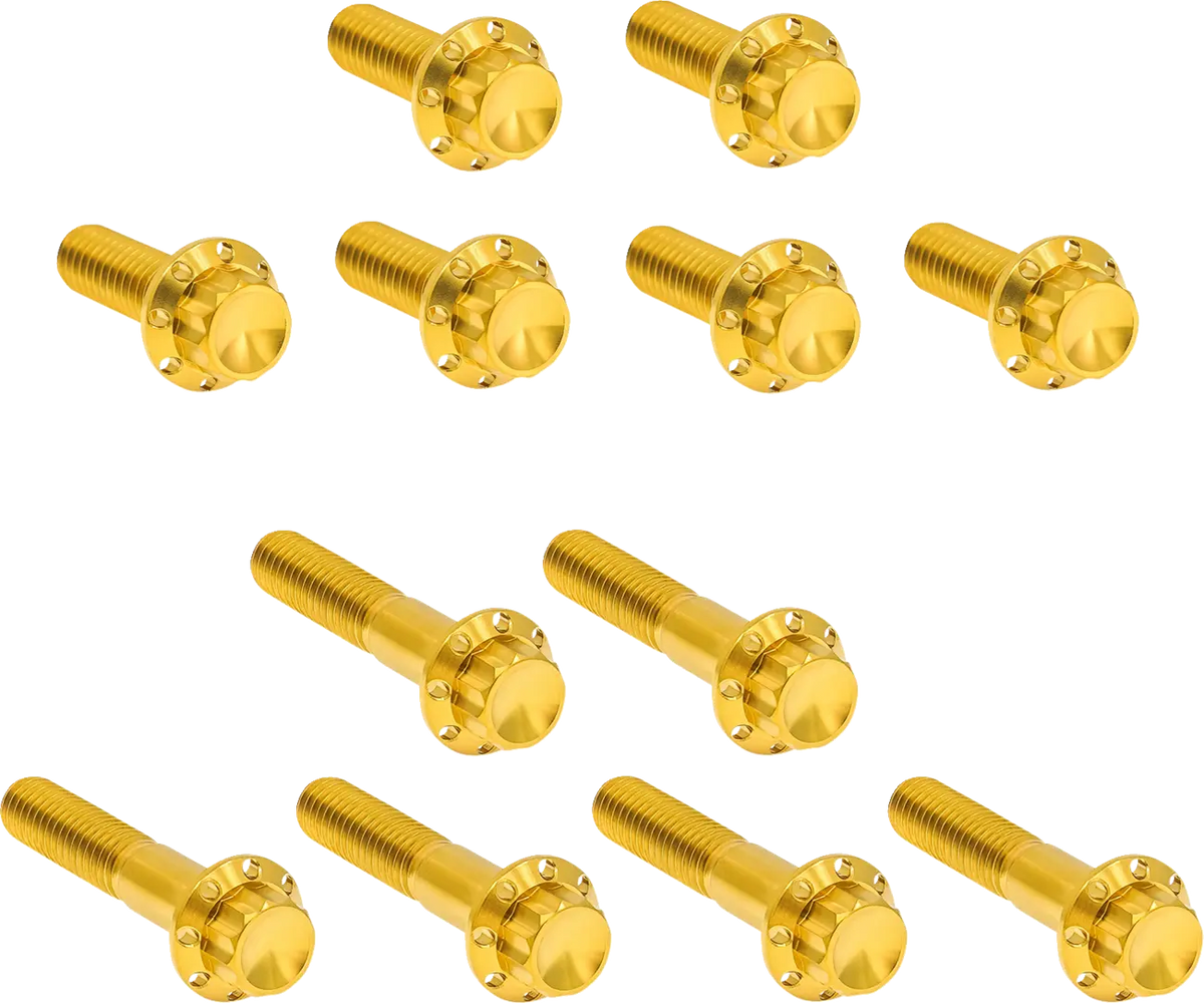 Arlen Ness 12-Point Titanium Rocker Box Bolt Kit Gold TC 00-17