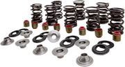 Kibblewhite Valve Spring Kit .450" Lift