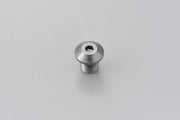 Daytona M10 X 1.25 Mirror Plug Bolt