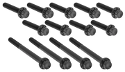 Arlen Ness Primary Cover Titanium 12-POINT Bolt Kits – Hardware
