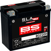 Bs Battery Sla Agm Battery - 12v 20ah