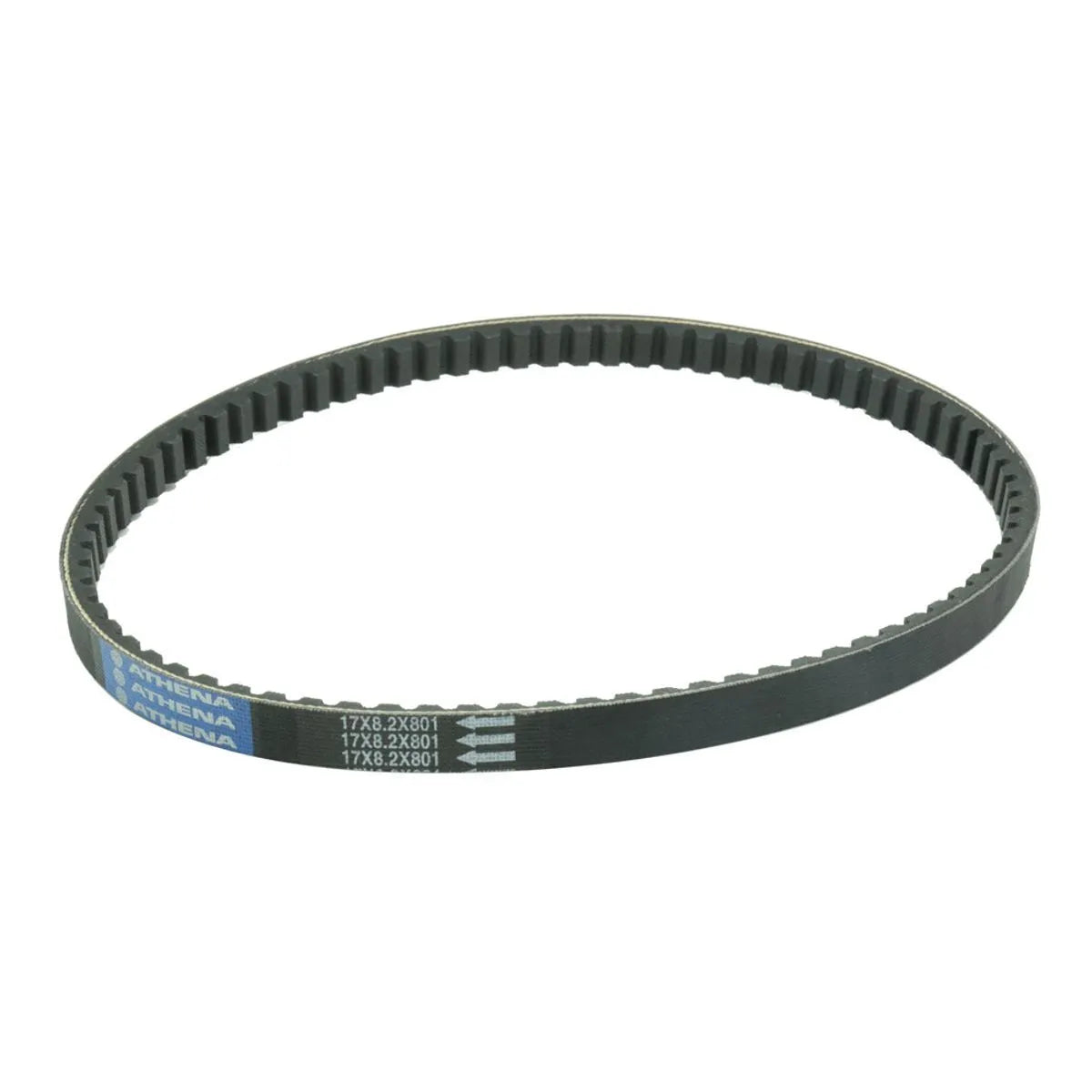 Athena Drive Belt Standard