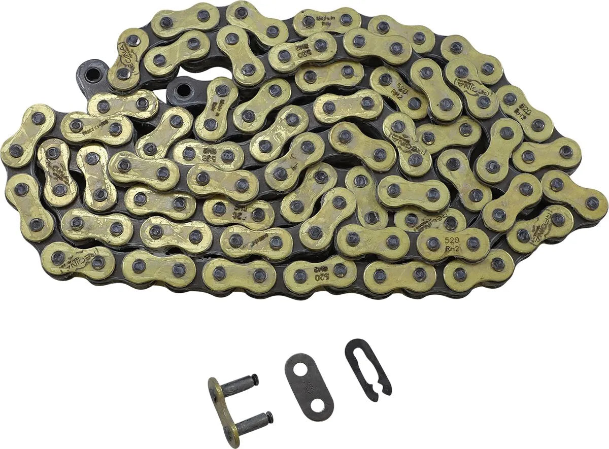 Regina 520 Rh2 Series Chain - High-performance