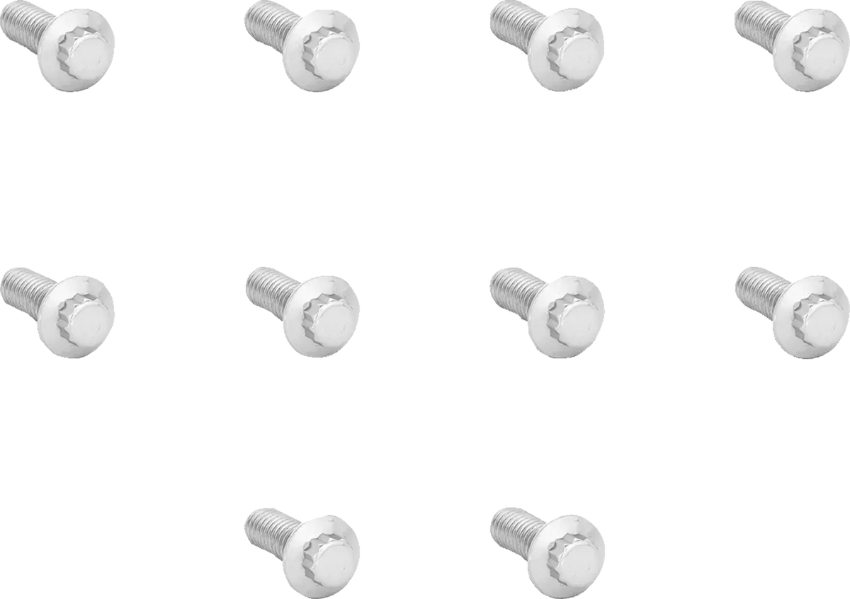 Arlen Ness 12-Point Stainless Rotor Bolt Kit for HD Front
