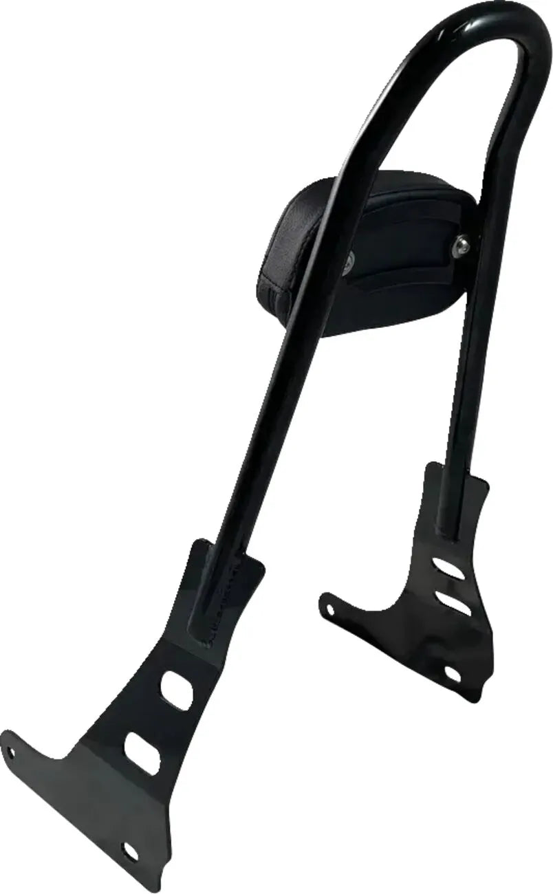 Motherwell One-piece Sissy Bar