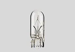Flosser Filament Glass Wedge Bulbs - 12v