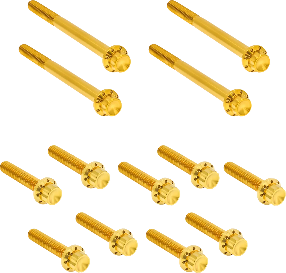 Arlen Ness Titanium 12-Point Primary Bolt Kit Gold FLT 17-25