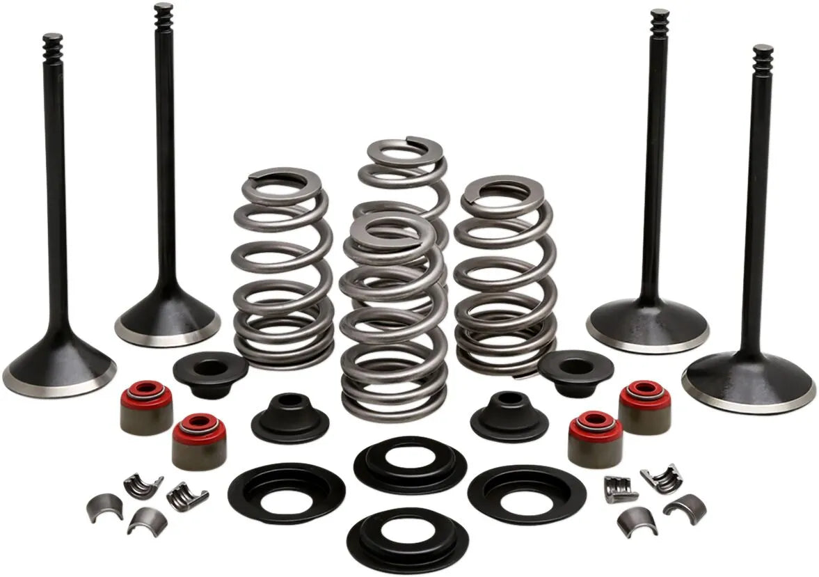 Kibblewhite Engine Valve Kit
