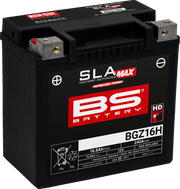 Bs Battery Sla Agm Battery - 12v 16ah