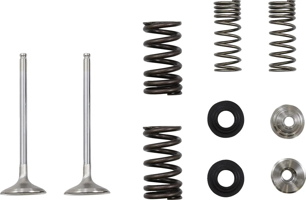 Moose Offroad Exhaust Valve And Spring Kit
